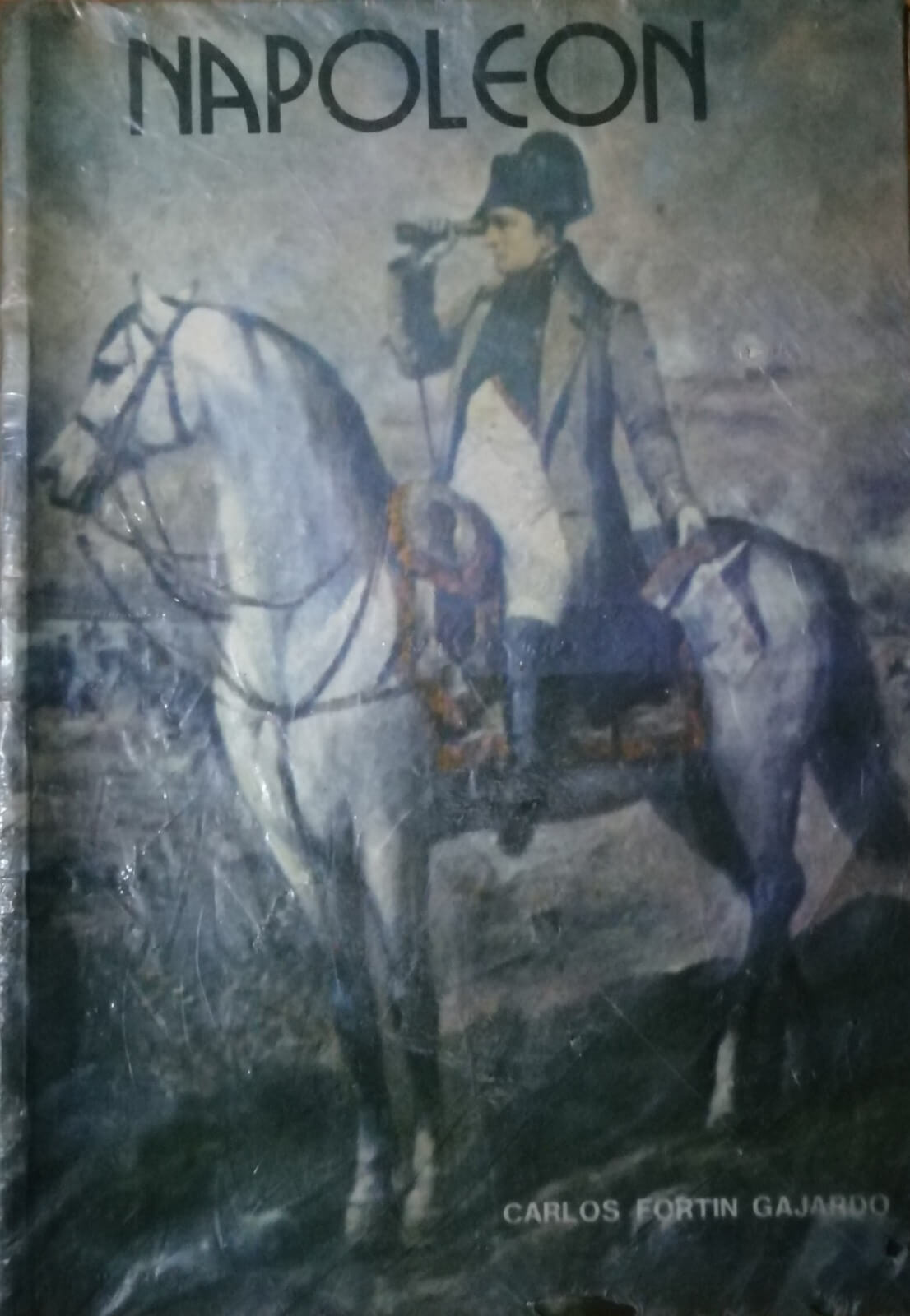 Napoleón de Carlos Fortín Gajardo