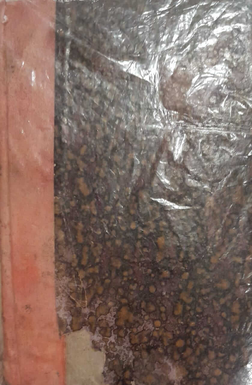 Curso de Filosofía Elemental