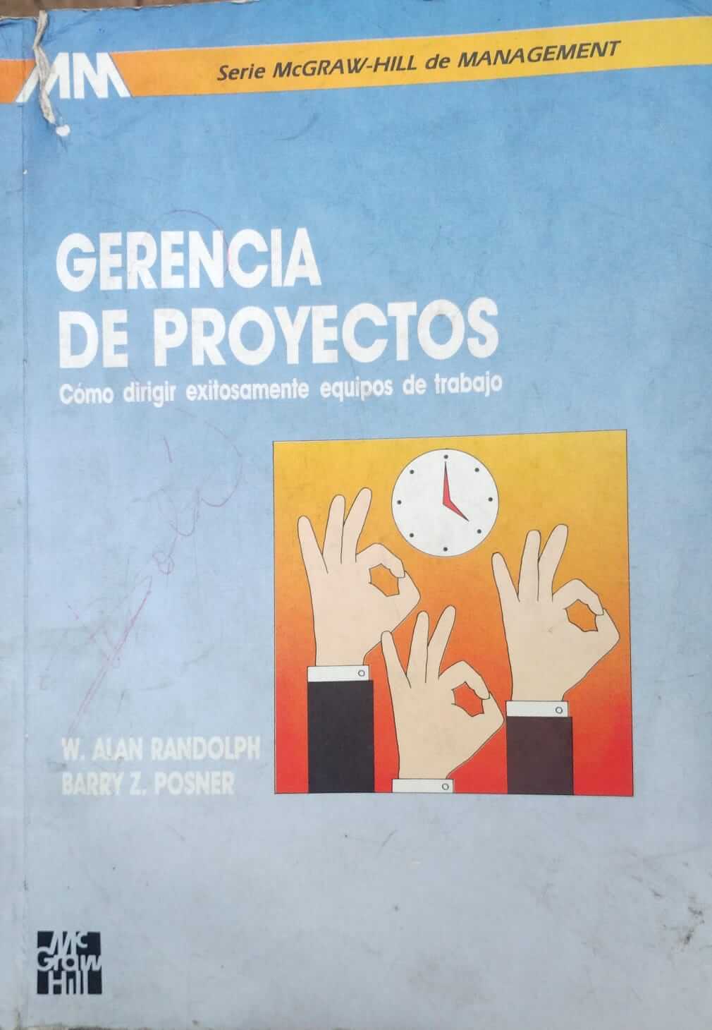 Gerencia De Proyectos. Cómo Dirigir Exitosamente Equipos De Trabajo